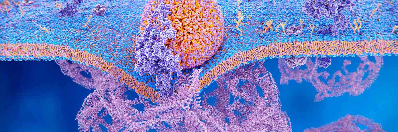 gpcr banner