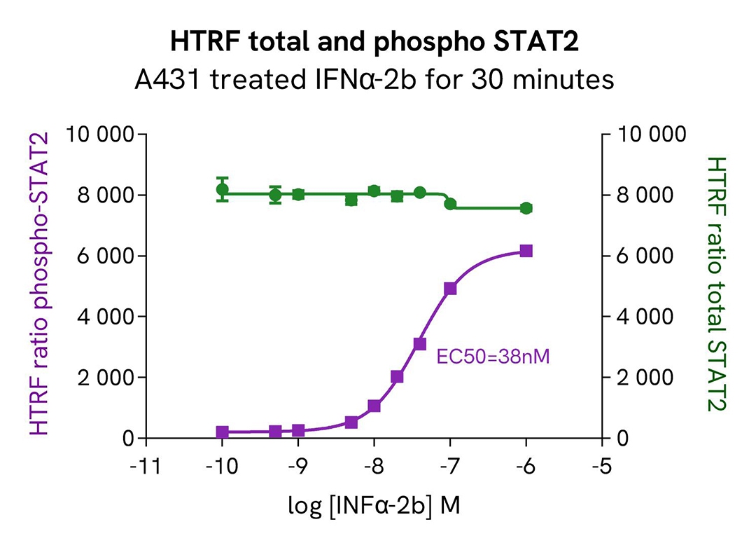 Assay validation activator IFNa2b STAT2 Phospho-Y690