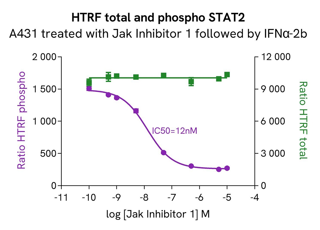 Assay validation inhibitor JAK-STAT2 Phospho-Y690