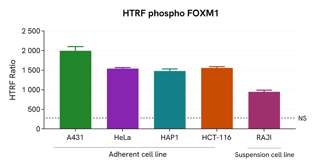 Assay validation versatility FOXM1 Phospho-T600
