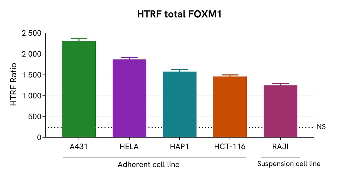 Assay validation versatility FOXM1 total