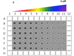 growth inhibition drug concentration