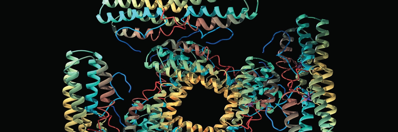 guide lance protein-protein
