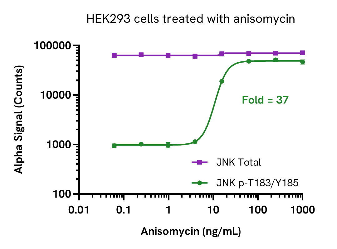 Activation of Phospho JNK1/2/3 (Thr183/Tyr185) in HEK293 cells