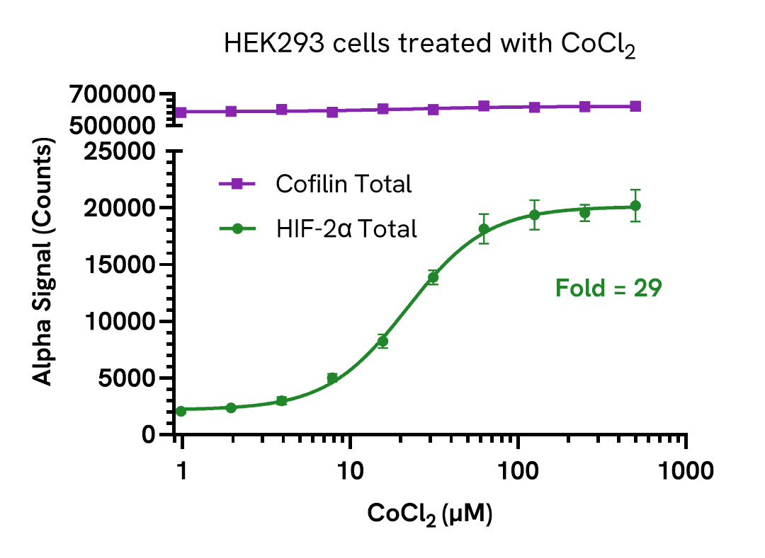 Pharmacological Validation (activator) of HIF-2α