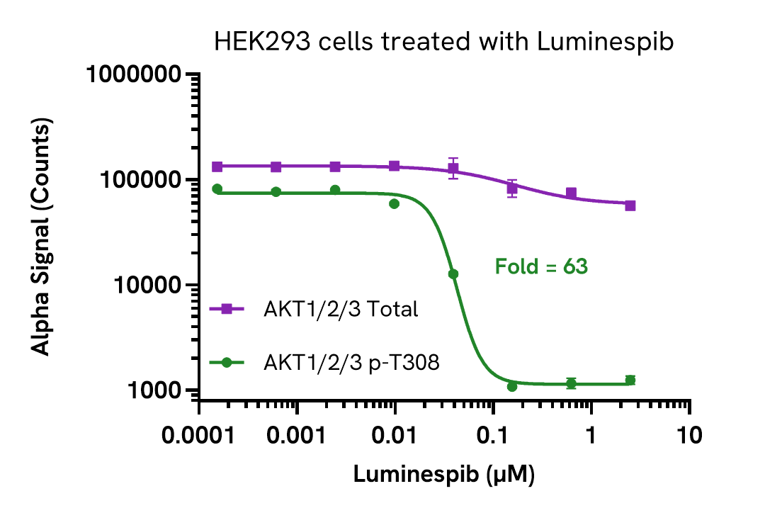 Inhibition of AKT1/2/3 Phospho (Thr308) in HEK293 cells