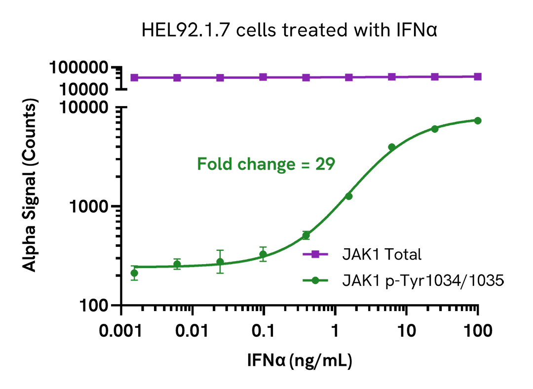 HEL92.1.7 cells treated with IFNa