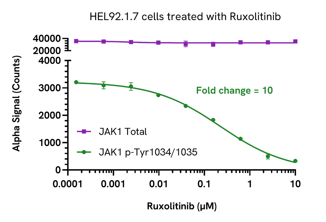 HEL92.1.7 cells treated with Ruxolitinib