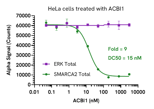 Pharmacological Validation (Inhibition) of SMARCA2 Total assay