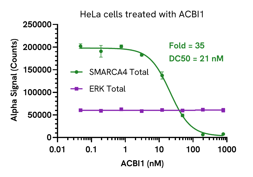 Pharmacological Validation (Inhibition) of SMARCA4 Total assay