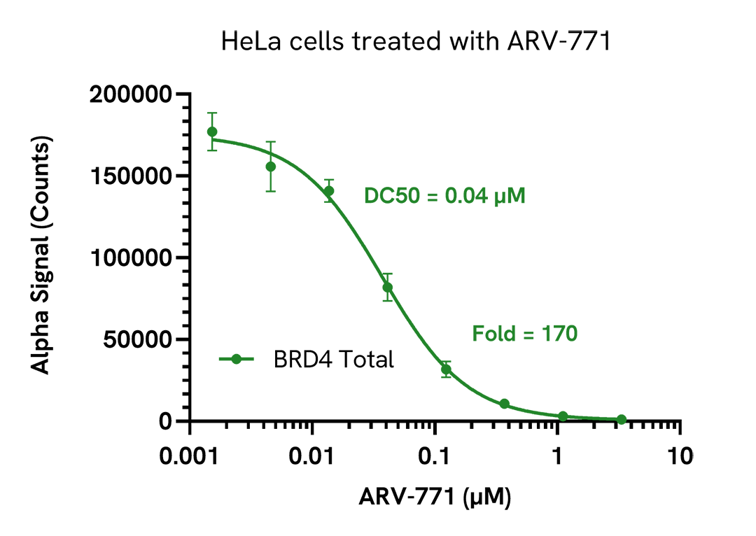 PROTAC degradation of BRD4 in endogenous cell systems