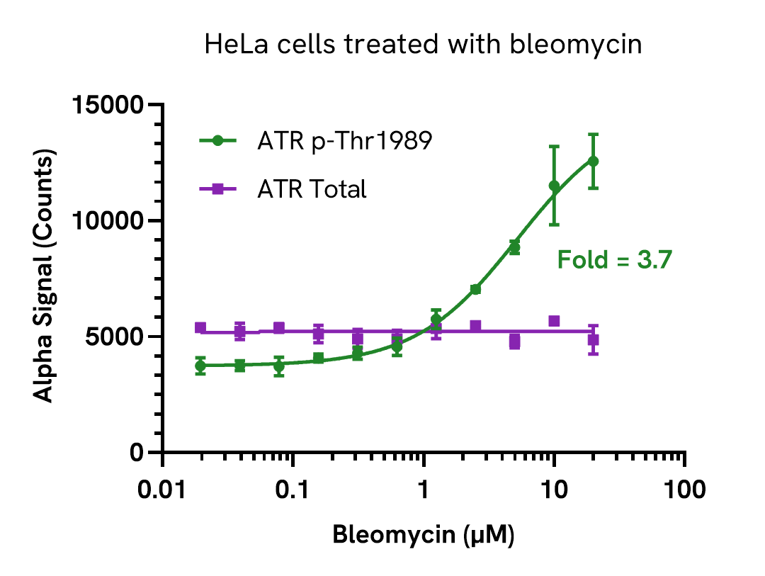 Pharmacological Validation (Activation) of ATR (Thr1989) assay