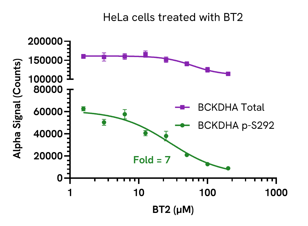 Validation of BCKDHA Total assay - inhibitor