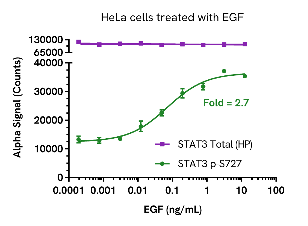 Pharmacological Validation (Activation) of STAT3 Phospho (Ser727) assay