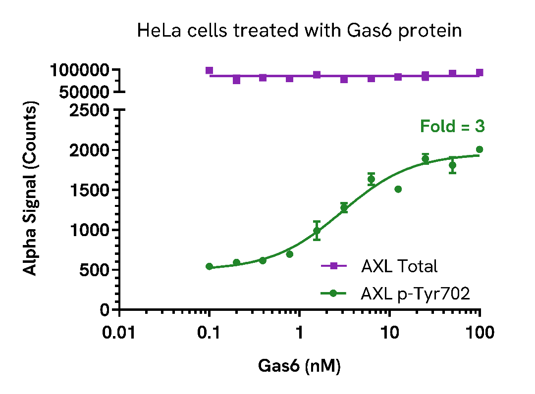 Activation of AXL Phospho (Tyr702) in cells treated with Gas6 protein