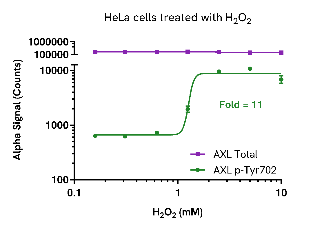 Activation of AXL Phospho (Tyr702) in cells treated with H2O2