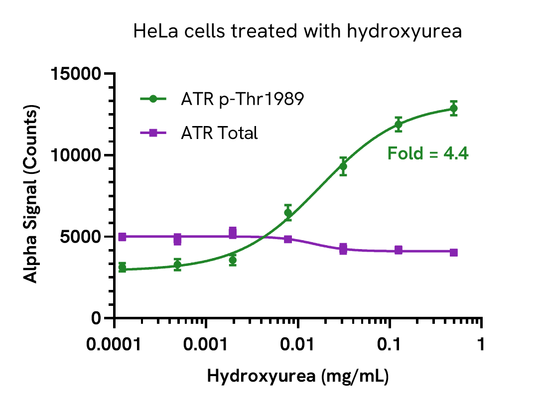 Pharmacological Validation (Activation) of ATR (Thr1989) assay