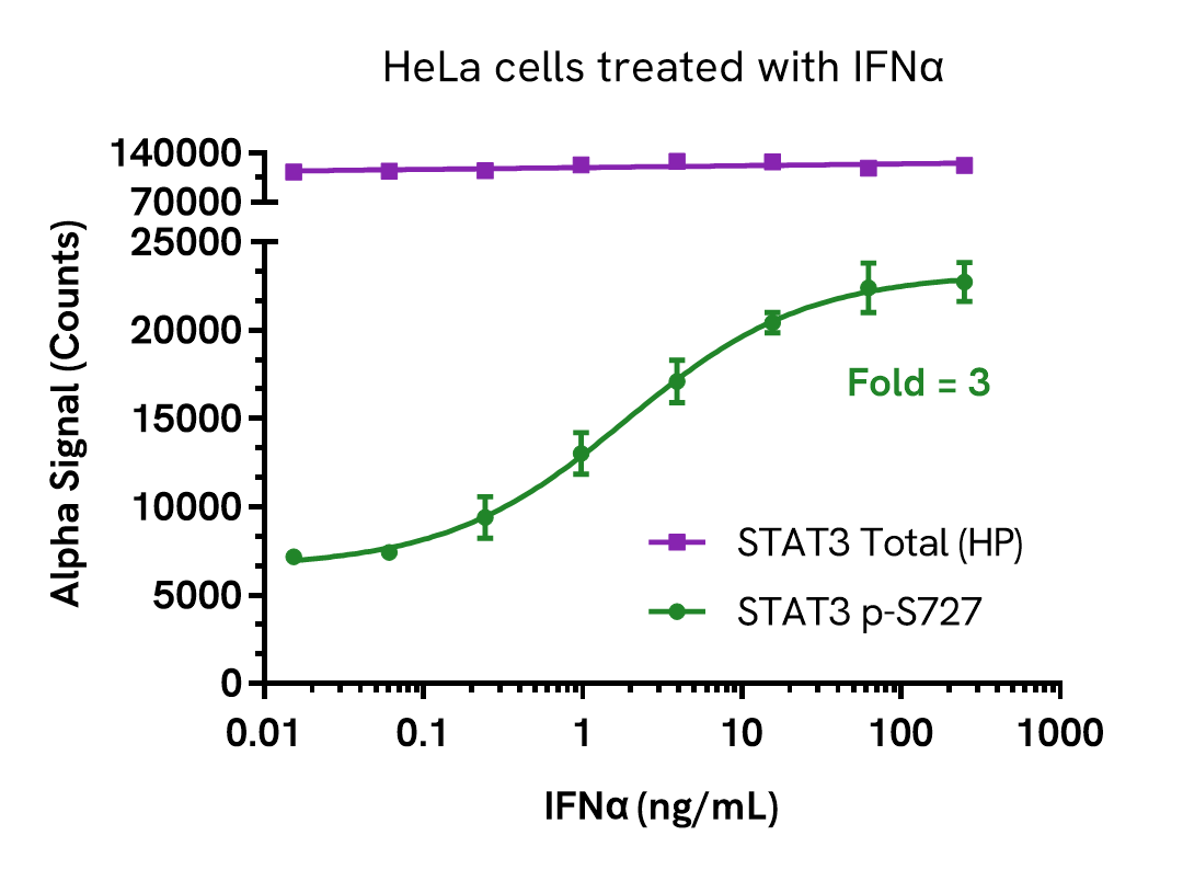 Pharmacological Validation (Activation) of STAT3 Phospho (Ser727) assay