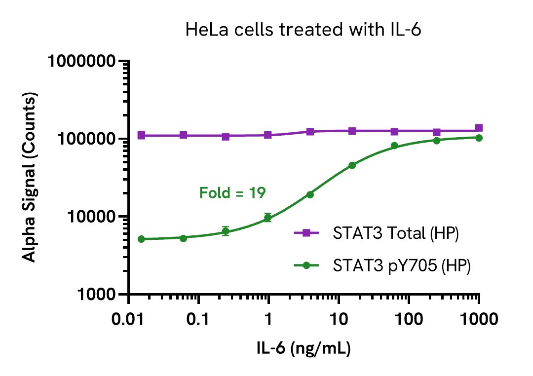 STAT3 Total (HP) assay validation - Activator