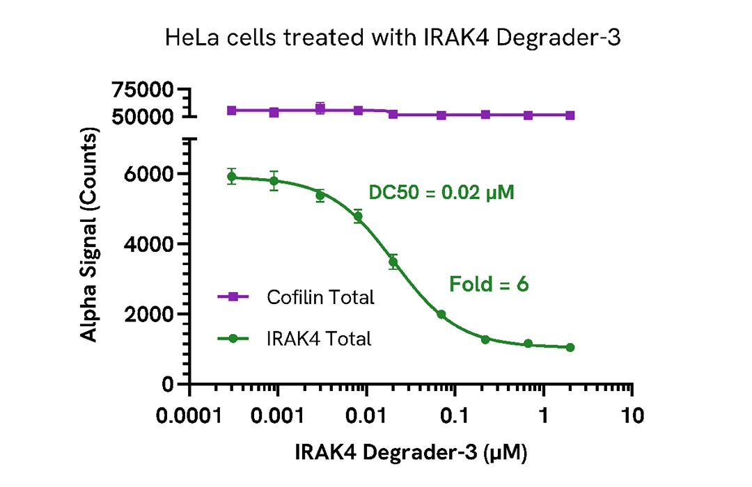 IRAK4 Degradation in endogenous cell models