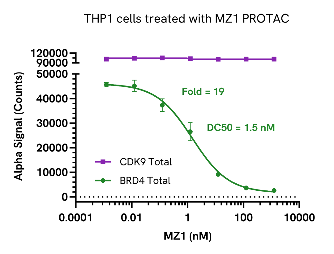 PROTAC degradation of BRD4 in endogenous cell systems
