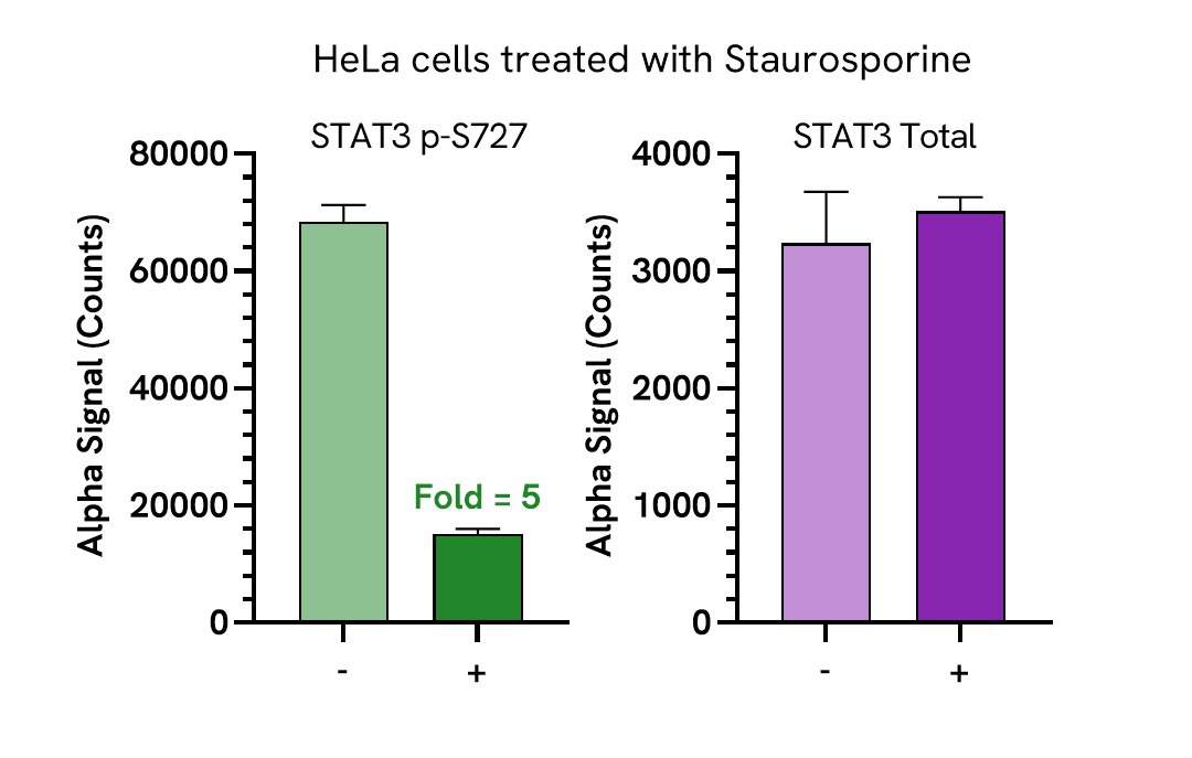 Pharmacological Validation (Inhibition) of STAT3 Phospho (Ser727) assay
