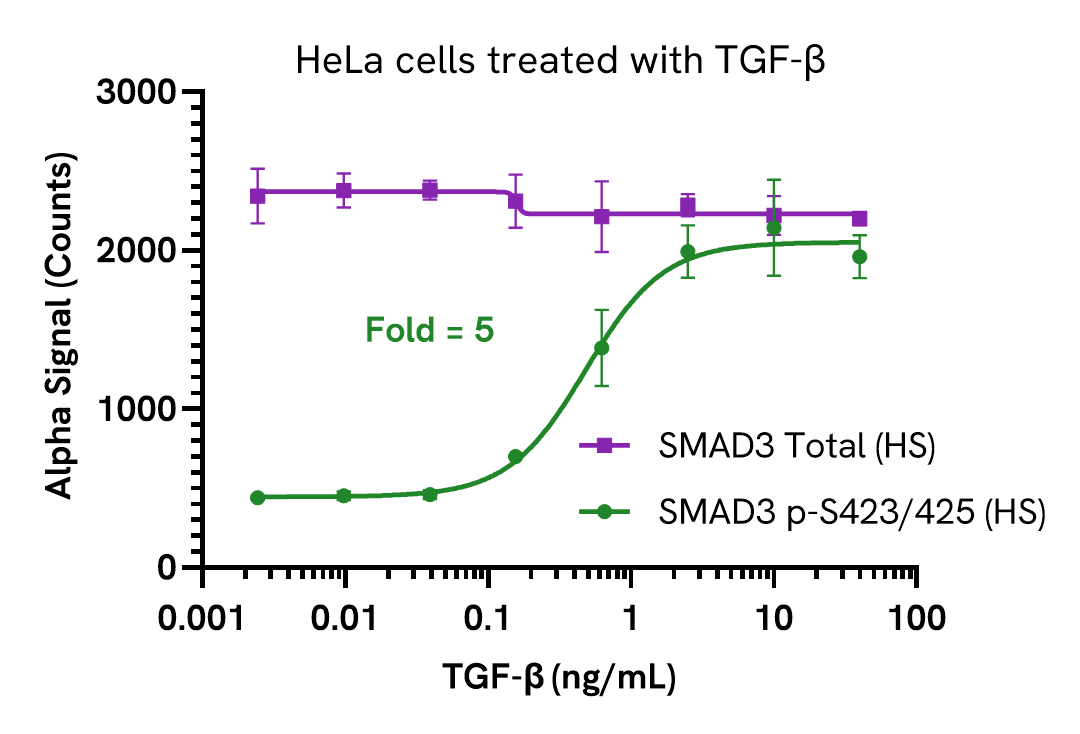 Pharmacological Validation - SMAD3 Total​