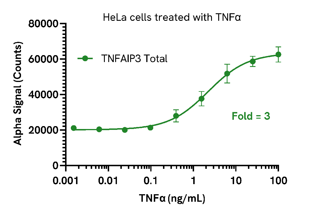 Induction of TNFAIP3 in TNFα treated cells