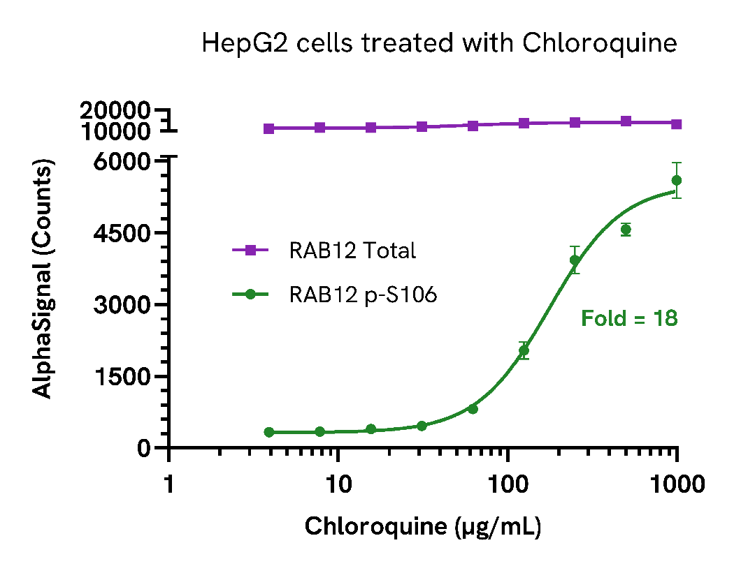 Activation of RAB12 phosphorylation in endogenous cell systems