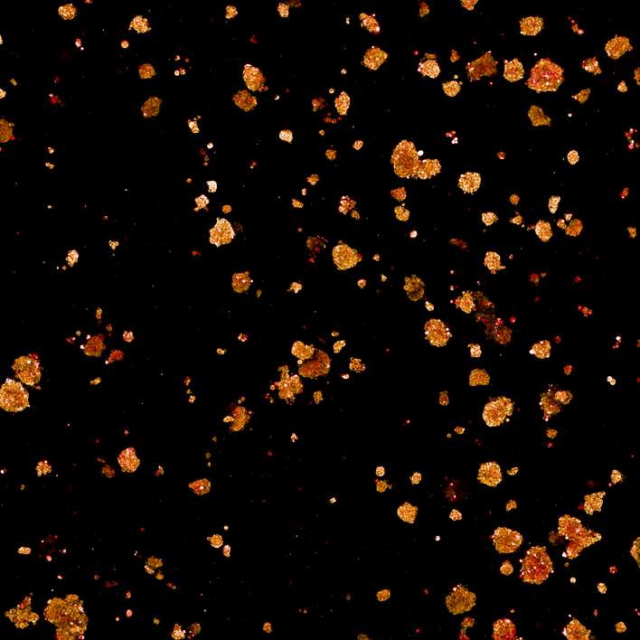 HepG2 spheroids imaged on the Opera Phenix Plus high-content screening system.