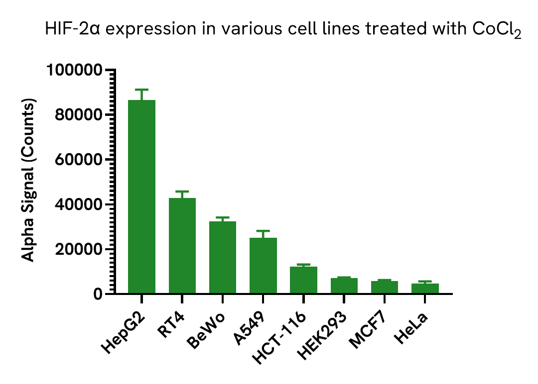 Versatility of HIF-2α Total assay in various cell lines