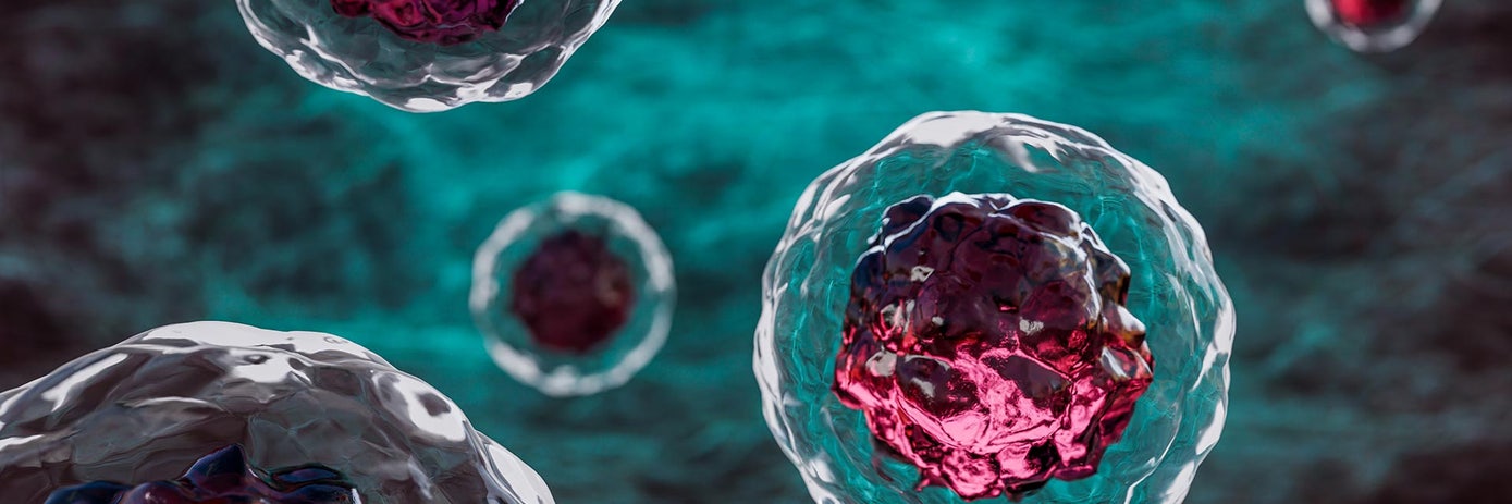 A high-fidelity, modular platform for efficient multiplexed engineering of therapeutic hematopoietic stem and progenitor cells.