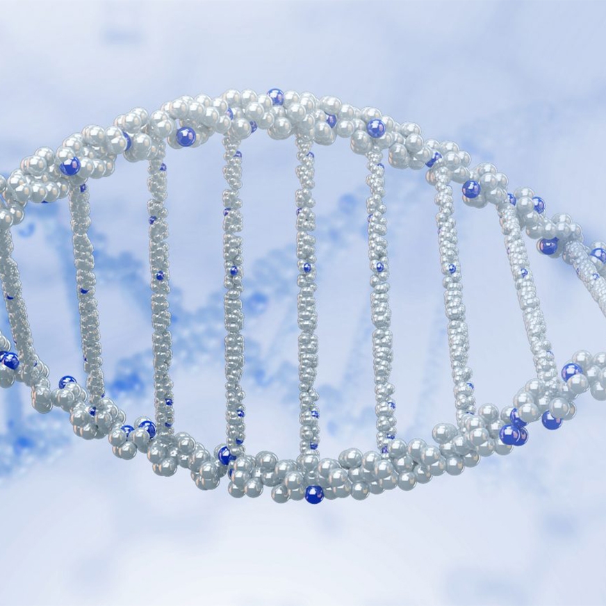 Automated HMW DNA extraction hero