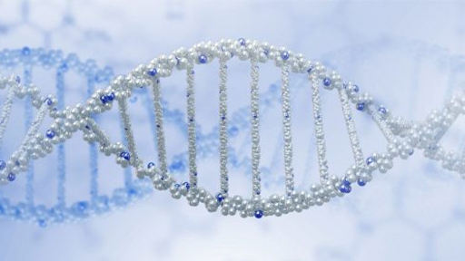 Automated HMW DNA Extraction thumbnail