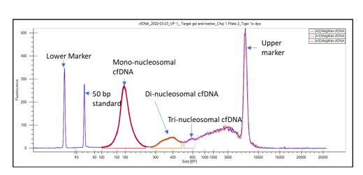 high resolution sizing of cfDNA mono-, di-, and tri-nucleosomes in ~ 1 minute samples
