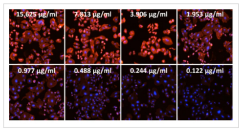 img-high-throughput-clone-screening-ensures-high-quality-biologic-production-1.PNG