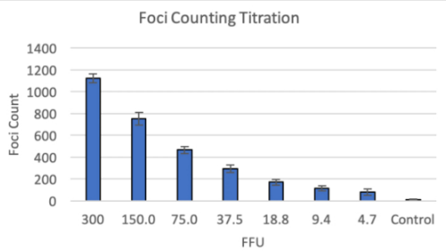 High-throughput counting of GFP-expressing influenza viral foci-4