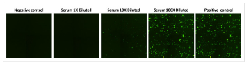 high throughput neutralization