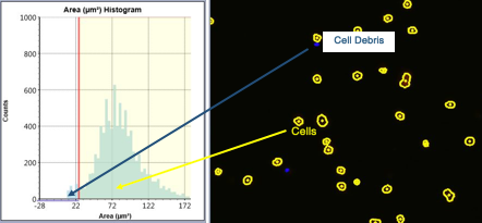 Histograms to Determine Cell Population of Interest