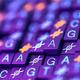 HMW DNA extraction ONT protocol