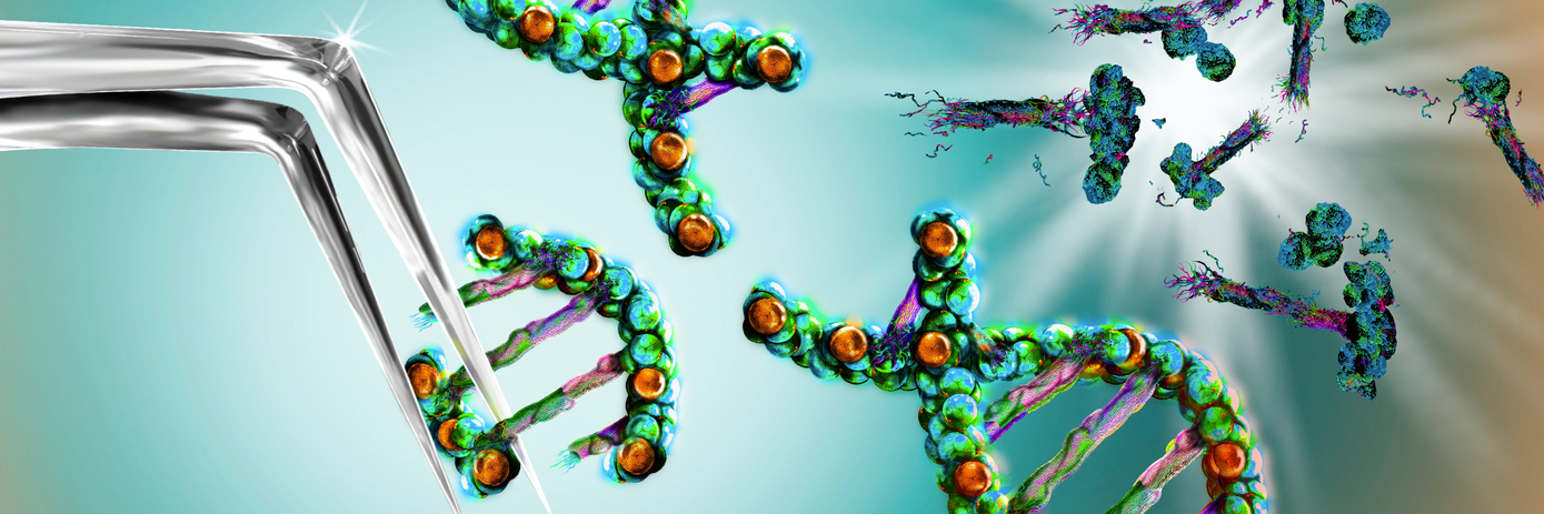 homology directed repair with a plasmid donor hero