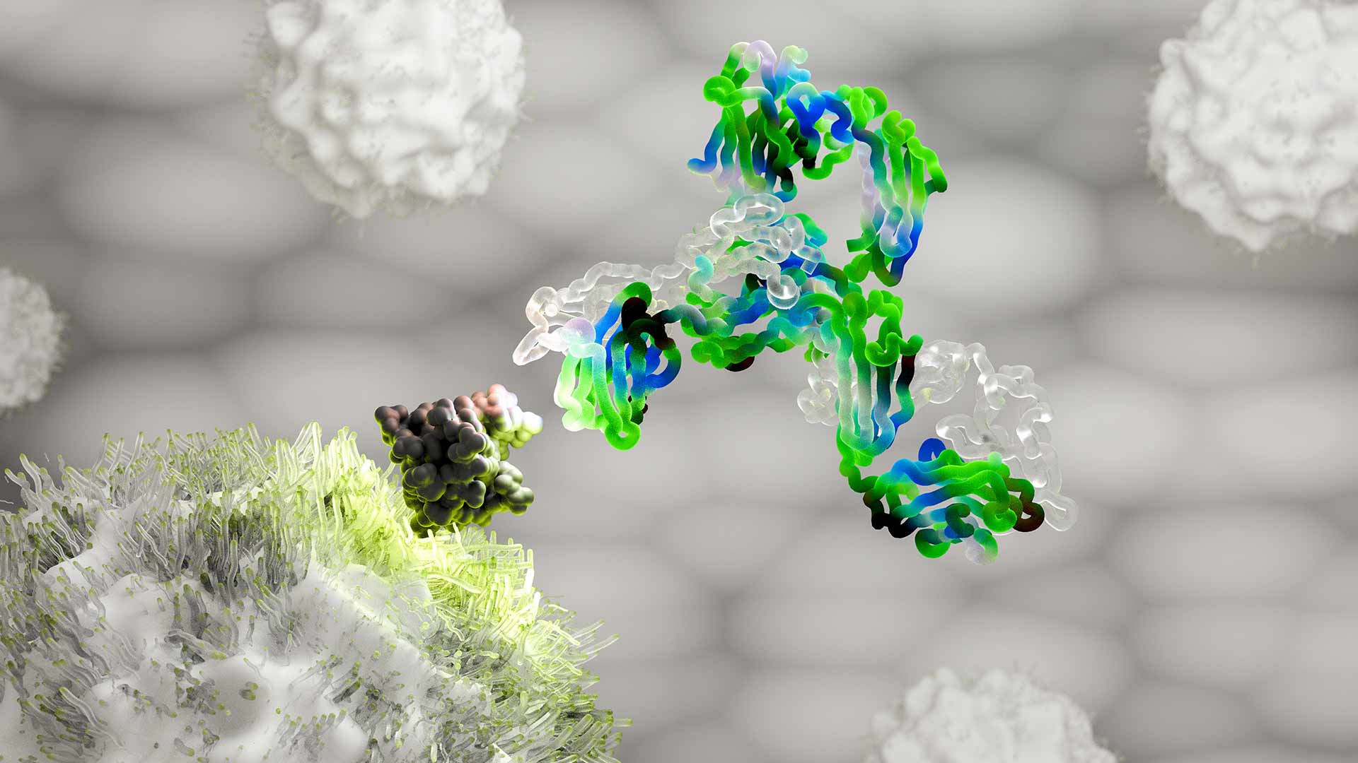 How conditional bispecific antibodies are advancing precision immunotherapy