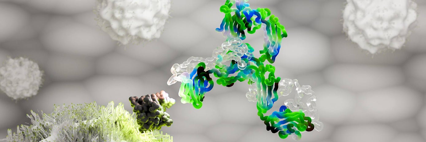 How conditional bispecific antibodies are advancing precision immunotherapy