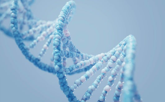 How to Work with Challenging or Limited Genomic Samples