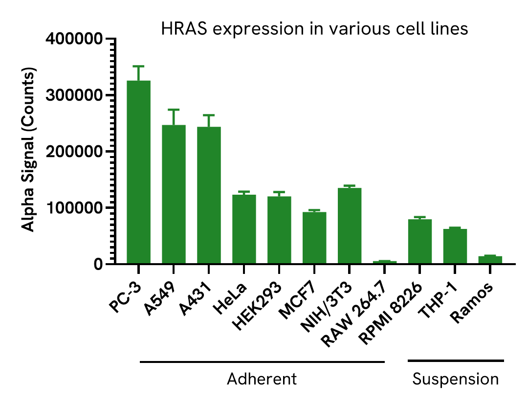 Versatility of HRAS Total assay in various cell lines