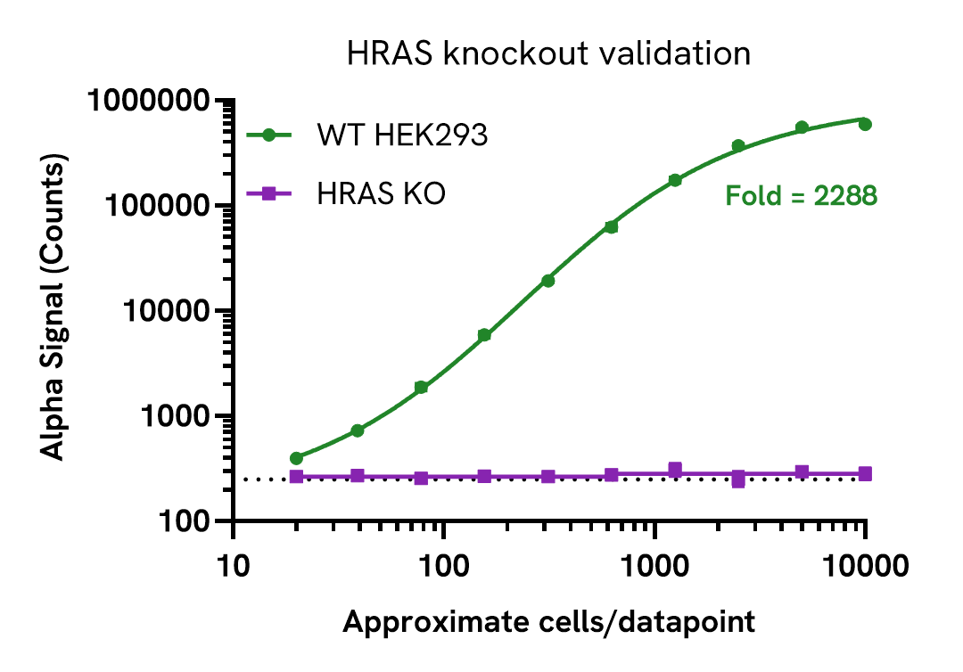 Knockout validation of HRAS Total Assay