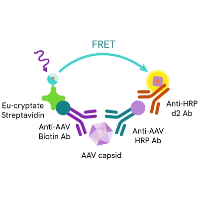 HTRF AAV primary image