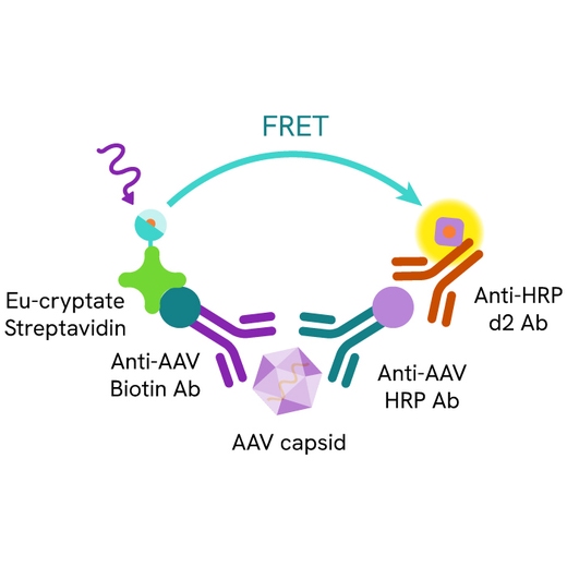 HTRF AAV primary image