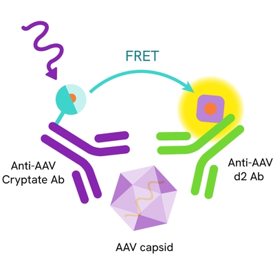 HTRF AAV primary image