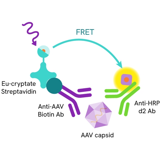 HTRF AAV primary image